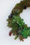 Succulent Wreath 3 small