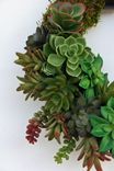 Succulent Wreath 5 small