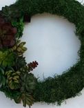 Succulent Wreath 1 small