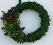 Succulent Wreath 3 small