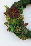 Succulent Wreath 4 small