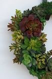 Succulent Wreath 5 small