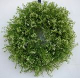 White Flower Spring Wreath 1 small