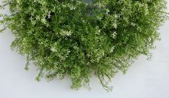 White Flower Spring Wreath 3 small
