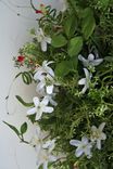 Spring Wreath 3 small