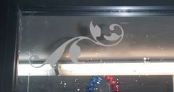 Engraved Storefront Door 3 small