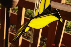 3d Flying Stained Glass Bird In Yellow And Black Sz 9 X 8 1/2 4 small
