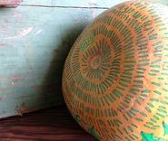 Hand Illustrated Gourd 3 small