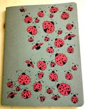 Ladybug Hand Illustrated Moleskine Notebook 1 small