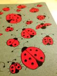 Ladybug Hand Illustrated Moleskine Notebook 5 small