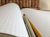 Ladybug Hand Illustrated Moleskine Notebook 6 small