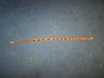 Custom Made "Rattlesnake" Belt 2 small