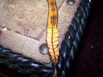 Custom Made "Rattlesnake" Belt 3 small
