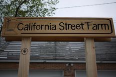 Carved Business Signage 1 small