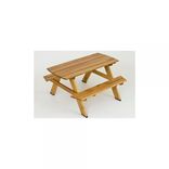 Ikant Kids Picnic Table. 1 small