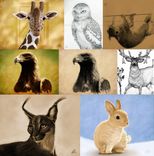 Animal Collage.  Drawings And Paintings 1 small