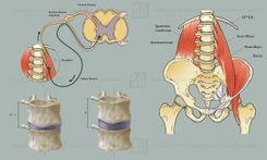 Medical Illustrations 6 small