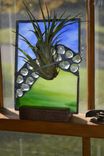 Stained Glass Air Plant Display 2 small