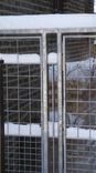 Galvanized Steel Gates 3 small