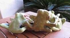 Sculpted Ceramic Red-Eyed Tree Frogs 3 small