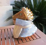 Sculpted Ceramic Animals - Hedgehog 5 small