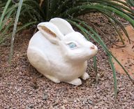 Sculpted Ceramic White Rabbit 4 small