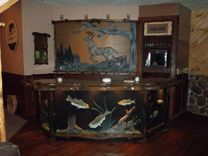 Carved Bass Bar With Whitetail Back Bar 2 small