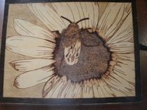 Pyrographic Wall Art 4 small