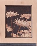 Daisy Woodburn Wall Hanging Art 1 small