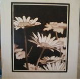 Daisy Woodburn Wall Hanging Art 2 small
