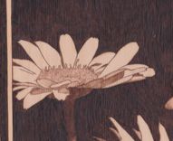 Daisy Woodburn Wall Hanging Art 5 small