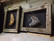 Shadow Boxes + Framed Pieces 2 small