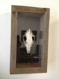 Shadow Boxes + Framed Pieces 8 small