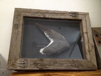 Shadow Boxes + Framed Pieces 14 small