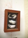 Shadow Boxes + Framed Pieces 15 small