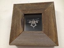 Shadow Boxes + Framed Pieces 16 small
