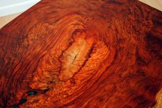 Waterfall Bubinga And Steel Tube Coffee Table 4 small
