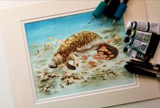 Manatee Pyrography With Watercolors On Paper 1 small