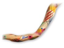 Sculpture- Snake Three 1 small