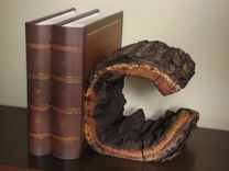 Hollow Log Letter "C" Bookend 2 small