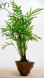 Hand Wrought Plant Vases 2 small