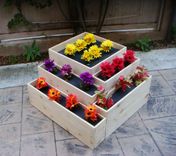 Wood Planter: "Cascade".  36 X 36 X 20 Inch High.  Cedar. 1 small