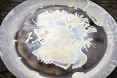 Ivory Crystalline Dinnerware 4 small