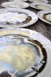 Ivory Crystalline Dinnerware 6 small