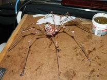 Recycled And Flameworked Spider 1 small