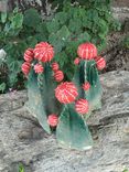 Ceramic Sculpture Set Of 3 Cactus 1 small