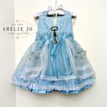 Alice Dress 4 small