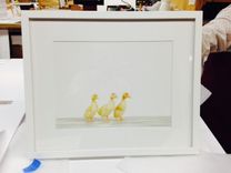 Fine Art Photography Framing 2 small