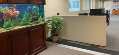 Wall Partition 2 small