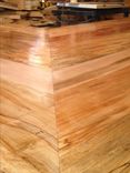 Solid Ambrosia (Wormy) Maple Bar / Counter Top 2 small